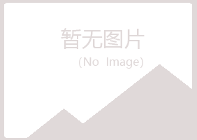 沂南县夏日会计有限公司